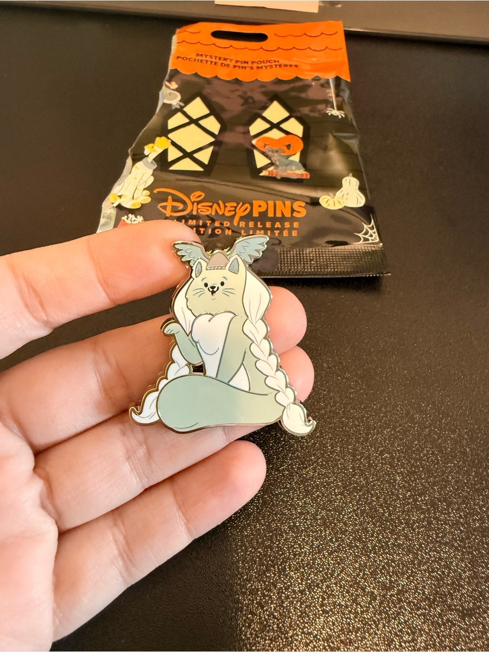 Halloween Disney haunted mansion cat pin